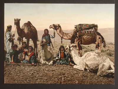 Camel Train in Desert Having a Rest, 1895 by American Photographer